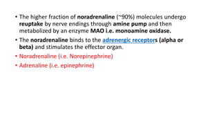 • The higher fraction of noradrenaline (~90%) molecules undergo
reuptake by nerve endings through amine pump and then
metabolized by an enzyme MAO i.e. monoamine oxidase.
• The noradrenaline binds to the adrenergic receptors (alpha or
beta) and stimulates the effector organ.
• Noradrenaline (i.e. Norepinephrine)
• Adrenaline (i.e. epinephrine)
 