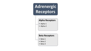 Adrenergic
Receptors
Alpha Receptors
• Alpha-1
• Alpha-2
Beta Receptors
• Beta-1
• Beta-2
• Beta-3
 