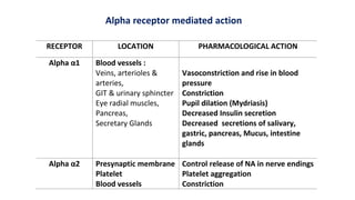 RECEPTOR LOCATION PHARMACOLOGICAL ACTION
Alpha α1 Blood vessels :
Veins, arterioles &
arteries,
GIT & urinary sphincter
Eye radial muscles,
Pancreas,
Secretary Glands
Vasoconstriction and rise in blood
pressure
Constriction
Pupil dilation (Mydriasis)
Decreased Insulin secretion
Decreased secretions of salivary,
gastric, pancreas, Mucus, intestine
glands
Alpha α2 Presynaptic membrane
Platelet
Blood vessels
Control release of NA in nerve endings
Platelet aggregation
Constriction
Alpha receptor mediated action
 