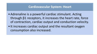 Cardiovascular System: Heart
•Adrenaline is a powerful cardiac stimulant. Acting
through β1 receptors, it increases the heart rate, force
of contraction, cardiac output and conduction velocity.
•It increases cardiac output and the resultant oxygen
consumption also increased.
 