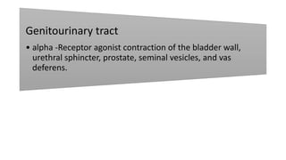 Genitourinary tract
• alpha -Receptor agonist contraction of the bladder wall,
urethral sphincter, prostate, seminal vesicles, and vas
deferens.
 