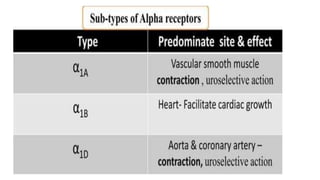 Systemic Pharmacology Of Autonomic Nervous System. Sympathomimetics ...