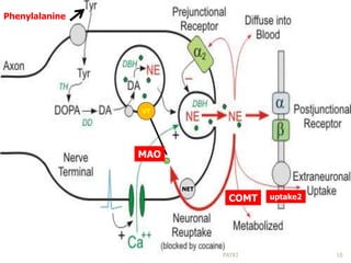 MAO
uptake2COMT
VT
NET
Phenylalanine
10PATKI
 