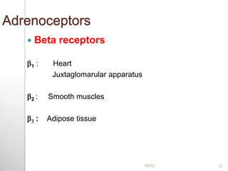Adrenoceptors
 Beta receptors
b1 : Heart
Juxtaglomarular apparatus
b2 : Smooth muscles
b3 : Adipose tissue
12PATKI
 