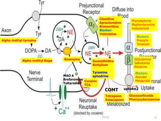 MAO A
Brofaromine
Toltarodine
uptake2COMT
VT
NET
Alpha methyl tyrosine
Alpha methyl Dopa
Tolcapone
Entacapone
Cocaine
TCA
Reserpine
Clonidine
Apraclonidine
Brimonidine
Blocker:
Yohimbine
Phenylephrine
Mephenteramine
metaraminol
Blockers:
Prazocin
Terazosin
Blockers:
Atenolol
Metaprolol
Dobutamine
Salbutamol
Ritodrine
Guanethidine
Bretylium
Tyramine
ephedrine
Glucocorticoids
Phenoxybenzamine
22PATKI
 