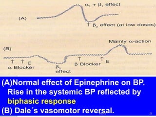 (A)Normal effect of Epinephrine on BP.
Rise in the systemic BP reflected by
biphasic response
(B) Dale´s vasomotor reversal. 28PATKI
 