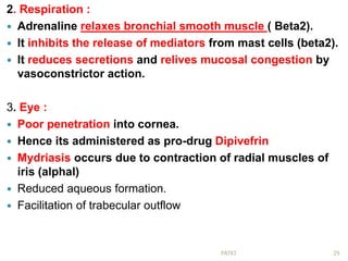 2. Respiration :
 Adrenaline relaxes bronchial smooth muscle ( Beta2).
 It inhibits the release of mediators from mast cells (beta2).
 It reduces secretions and relives mucosal congestion by
vasoconstrictor action.
3. Eye :
 Poor penetration into cornea.
 Hence its administered as pro-drug Dipivefrin
 Mydriasis occurs due to contraction of radial muscles of
iris (alphal)
 Reduced aqueous formation.
 Facilitation of trabecular outflow
29PATKI
 