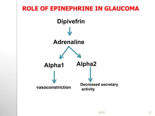 Dipivefrin
Adrenaline
Alpha1 Alpha2
vasoconstriction
Decreased secretary
activity
ROLE OF EPINEPHRINE IN GLAUCOMA
37PATKI
 