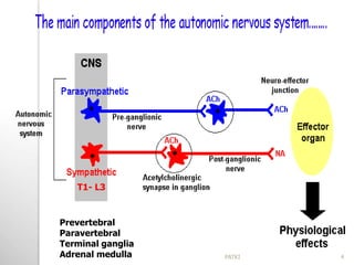 T1- L3
Prevertebral
Paravertebral
Terminal ganglia
Adrenal medulla 4PATKI
 