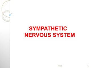 SYMPATHETIC
NERVOUS SYSTEM
5PATKI
 