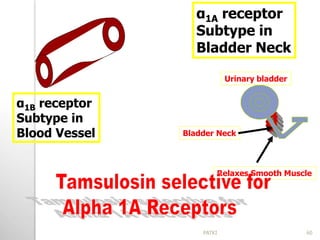 Urinary bladder
Bladder Neck
Relaxes Smooth Muscle
α1A receptor
Subtype in
Bladder Neck
α1B receptor
Subtype in
Blood Vessel
60PATKI
 