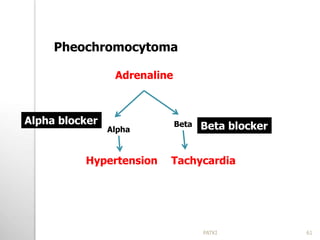 Pheochromocytoma
Adrenaline
Alpha
Hypertension
Beta
Tachycardia
Alpha blocker Beta blocker
61PATKI
 