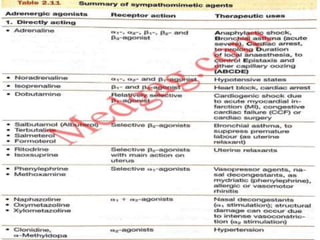 Sympathomimetics or Adrenergic Agonists (Introduction, Classification ...