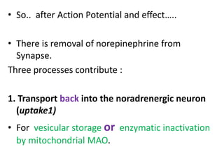 • So.. after Action Potential and effect….. 
• There is removal of norepinephrine from 
Synapse. 
Three processes contribute : 
1. Transport back into the noradrenergic neuron 
(uptake1) 
• For vesicular storage or enzymatic inactivation 
by mitochondrial MAO. 
 