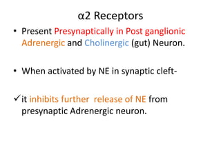 α2 Receptors 
• Present Presynaptically in Post ganglionic 
Adrenergic and Cholinergic (gut) Neuron. 
• When activated by NE in synaptic cleft- 
it inhibits further release of NE from 
presynaptic Adrenergic neuron. 
 