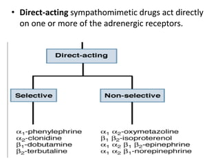 • Direct-acting sympathomimetic drugs act directly 
on one or more of the adrenergic receptors. 
 