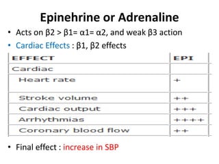 Epinehrine or Adrenaline 
• Acts on β2 > β1= α1= α2, and weak β3 action 
• Cardiac Effects : β1, β2 effects 
• Final effect : increase in SBP 
 