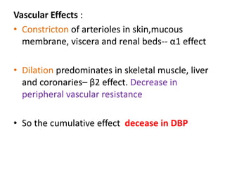 Vascular Effects : 
• Constricton of arterioles in skin,mucous 
membrane, viscera and renal beds-- α1 effect 
• Dilation predominates in skeletal muscle, liver 
and coronaries– β2 effect. Decrease in 
peripheral vascular resistance 
• So the cumulative effect decease in DBP 
 