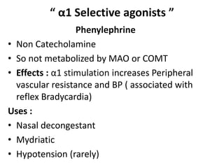 “ α1 Selective agonists ” 
Phenylephrine 
• Non Catecholamine 
• So not metabolized by MAO or COMT 
• Effects : α1 stimulation increases Peripheral 
vascular resistance and BP ( associated with 
reflex Bradycardia) 
Uses : 
• Nasal decongestant 
• Mydriatic 
• Hypotension (rarely) 
 