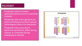 POLYPOIDY
1. Polyploidy refers to instant
speciation which occurs in most often
in plants.
2. Polyploidy cells and organisms are
those containing more than 2 paired
(homologous) sets of chromosome.
3. Polyploidy may occurs due to
abnormal use division, either during
mitosis, or commonly during
metaphase in meiosis.
 