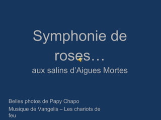 Symphonie de roses… aux salins d’Aigues Mortes Belles photos de Papy Chapo Musique de Vangelis – Les chariots de feu 