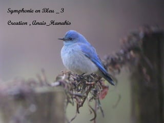 Symphonie en bleu   3   by anais_hanahis