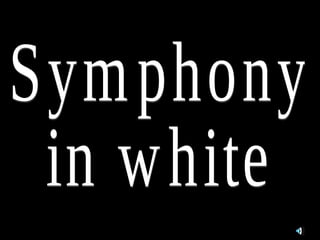 Symphony in white 