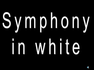 Symphonyinwhite