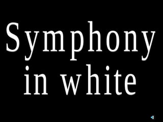 Symphonyinwhite