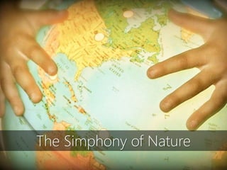 The Simphony of Nature
 