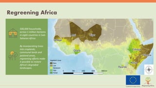 Symphony of Science and Practice: Bringing evidence to bear for land restoration practice and policy in Africa