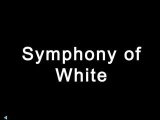Symphony of
   White
 