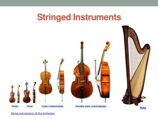 Types of stringed instruments with pictures - statorganic