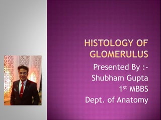 Presented By :-
Shubham Gupta
1st MBBS
Dept. of Anatomy
 