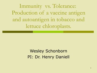 Immunity  vs. Tolerance:  Production of a vaccine antigen and autoantigen in tobacco and lettuce chloroplasts. Wesley Schonborn PI: Dr. Henry Daniell 