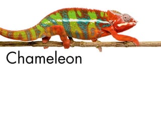 Plone 4 and 5, plans and progress