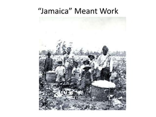 “Jamaica” Meant Work
 