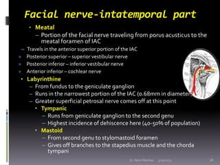 Facial nerve-intatemporal part
    • Meatal
       – Portion of the facial nerve traveling from porus acusticus to the
   ...