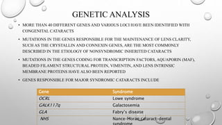 GENETIC ANALYSIS
• MORE THAN 40 DIFFERENT GENES AND VARIOUS LOCI HAVE BEEN IDENTIFIED WITH
CONGENITAL CATARACTS
• MUTATIONS IN THE GENES RESPONSIBLE FOR THE MAINTENANCE OF LENS CLARITY,
SUCH AS THE CRYSTALLIN AND CONNEXIN GENES, ARE THE MOST COMMONLY
DESCRIBED IN THE ETIOLOGY OF NONSYNDROMIC INHERITED CATARACTS
• MUTATIONS IN THE GENES CODING FOR TRANSCRIPTION FACTORS, AQUAPORIN (MAF),
BEADED FILAMENT STRUCTURAL PROTEIN, VIMENTIN, AND LENS INTRINSIC
MEMBRANE PROTEINS HAVE ALSO BEEN REPORTED
• GENES RESPONSIBLE FOR MAJOR SYNDROMIC CATARACTS INCLUDE
Gene Syndrome
OCRL Lowe syndrome
GALK117q Galactosemia
GLA Fabry’s disease
NHS Nance–Horan cataract–dental
 