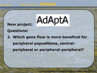 Study zone What do we know? AdAptA
New project:
Questions:
2. Which gene flow is more benefical for
peripheral popualtions...