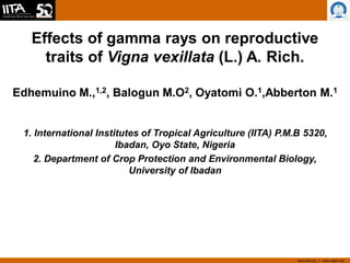 www.iita.org I www.cgiar.org
Effects of gamma rays on reproductive
traits of Vigna vexillata (L.) A. Rich.
Edhemuino M.,1,2, Balogun M.O2, Oyatomi O.1,Abberton M.1
1. International Institutes of Tropical Agriculture (IITA) P.M.B 5320,
Ibadan, Oyo State, Nigeria
2. Department of Crop Protection and Environmental Biology,
University of Ibadan
 