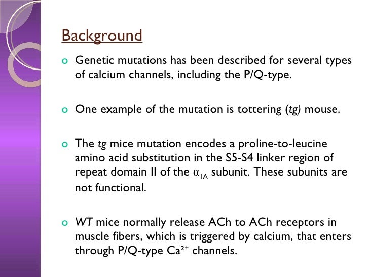 Effects Of Lems On P Q Type Calcium Channels