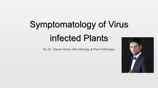 Symptomatology of Virus
infected Plants
By; Dr. Taswar Ahsan (Microbiology & Plant Pathology)
 