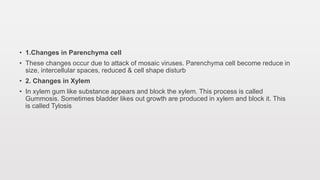 • 1.Changes in Parenchyma cell
• These changes occur due to attack of mosaic viruses. Parenchyma cell become reduce in
size, intercellular spaces, reduced & cell shape disturb
• 2. Changes in Xylem
• In xylem gum like substance appears and block the xylem. This process is called
Gummosis. Sometimes bladder likes out growth are produced in xylem and block it. This
is called Tylosis
 