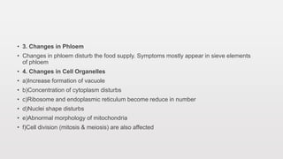 • 3. Changes in Phloem
• Changes in phloem disturb the food supply. Symptoms mostly appear in sieve elements
of phloem
• 4. Changes in Cell Organelles
• a)Increase formation of vacuole
• b)Concentration of cytoplasm disturbs
• c)Ribosome and endoplasmic reticulum become reduce in number
• d)Nuclei shape disturbs
• e)Abnormal morphology of mitochondria
• f)Cell division (mitosis & meiosis) are also affected
 