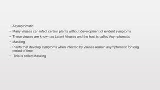 • Asymptomatic
• Many viruses can infect certain plants without development of evident symptoms
• These viruses are known as Latent Viruses and the host is called Asymptomatic
• Masking
• Plants that develop symptoms when infected by viruses remain asymptomatic for long
period of time
• This is called Masking
 
