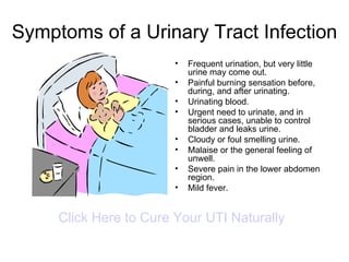Symptoms of a Urinary Tract Infection ,[object Object],[object Object],[object Object],[object Object],[object Object],[object Object],[object Object],[object Object],Click Here to Cure Your UTI Naturally 