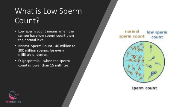 Sperm count epididymous