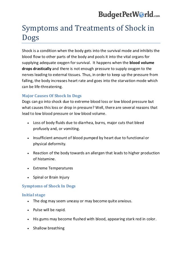 Symptoms and Treatments of Shock in Dogs