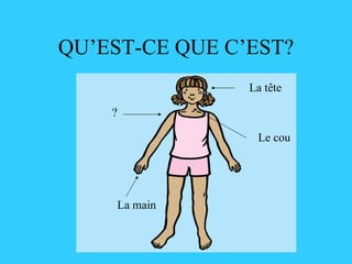 QU’EST-CE QUE C’EST? ? La tête Le cou La main 